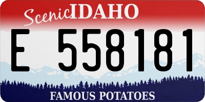 ID license plate E558181