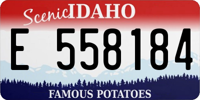 ID license plate E558184
