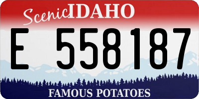 ID license plate E558187