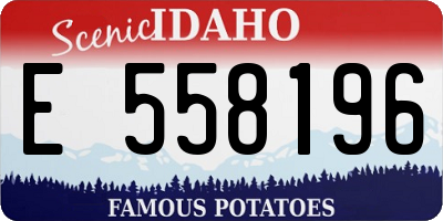 ID license plate E558196