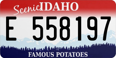 ID license plate E558197