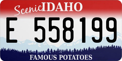 ID license plate E558199