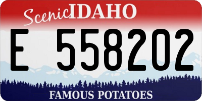 ID license plate E558202