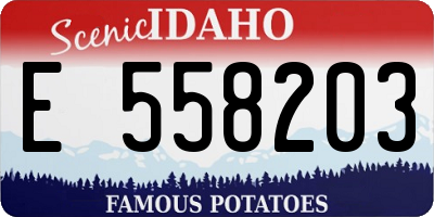 ID license plate E558203