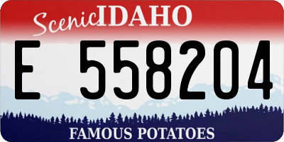 ID license plate E558204