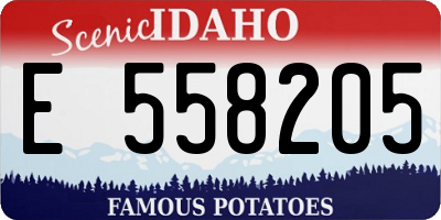 ID license plate E558205