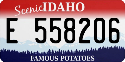 ID license plate E558206