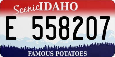 ID license plate E558207