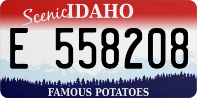 ID license plate E558208