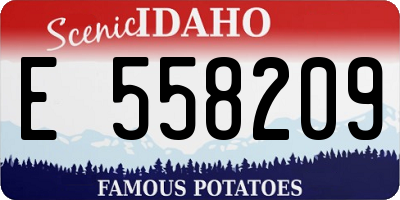 ID license plate E558209