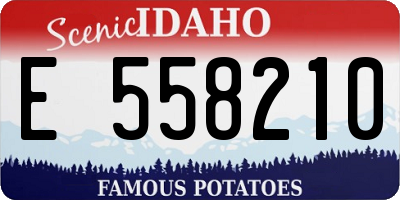 ID license plate E558210