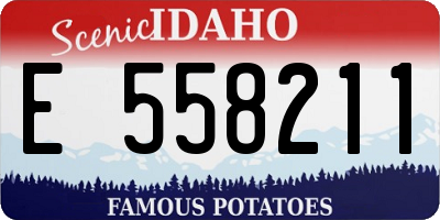 ID license plate E558211