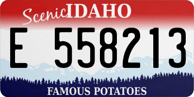 ID license plate E558213