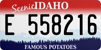 ID license plate E558216