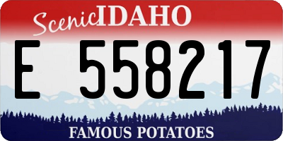 ID license plate E558217