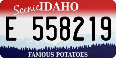 ID license plate E558219