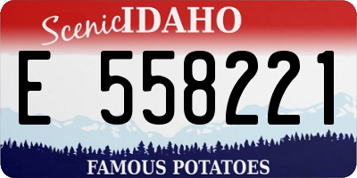 ID license plate E558221