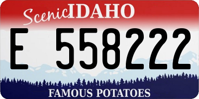 ID license plate E558222