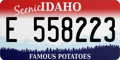 ID license plate E558223