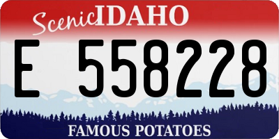 ID license plate E558228