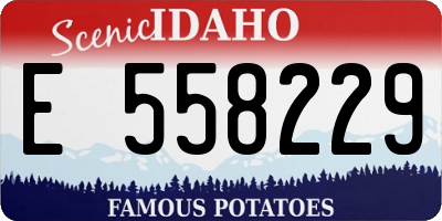 ID license plate E558229