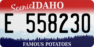 ID license plate E558230