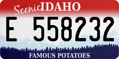 ID license plate E558232