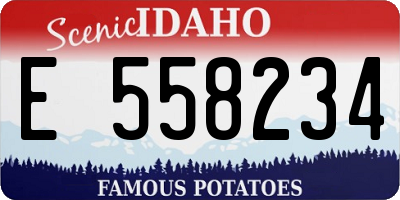 ID license plate E558234