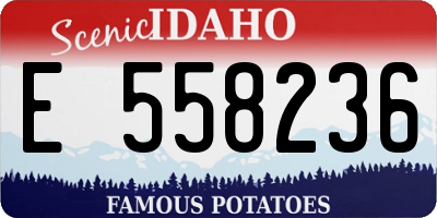 ID license plate E558236
