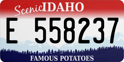 ID license plate E558237