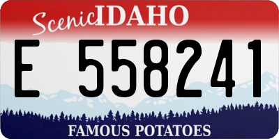ID license plate E558241