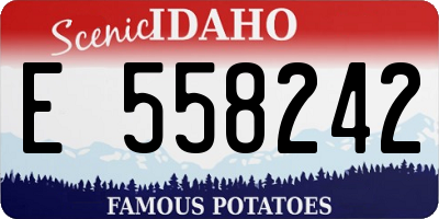 ID license plate E558242