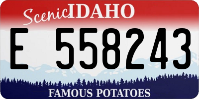 ID license plate E558243