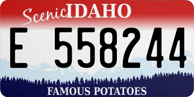 ID license plate E558244