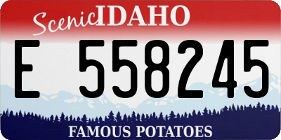 ID license plate E558245