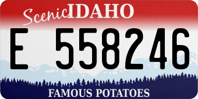 ID license plate E558246