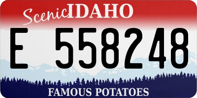ID license plate E558248