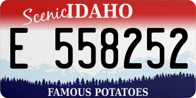 ID license plate E558252