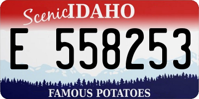 ID license plate E558253