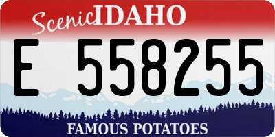 ID license plate E558255