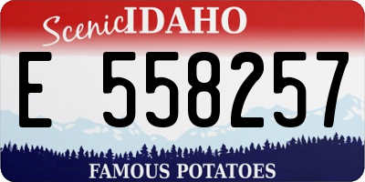 ID license plate E558257