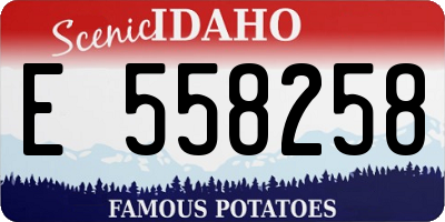 ID license plate E558258