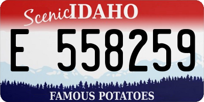 ID license plate E558259
