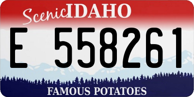 ID license plate E558261