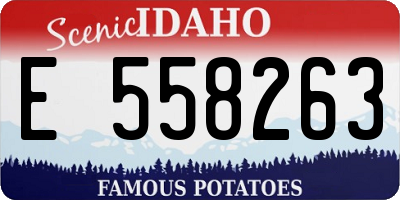 ID license plate E558263
