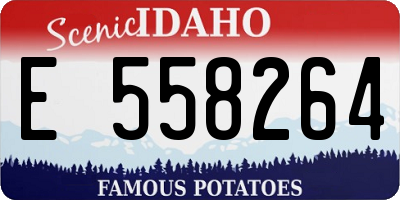 ID license plate E558264