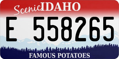 ID license plate E558265