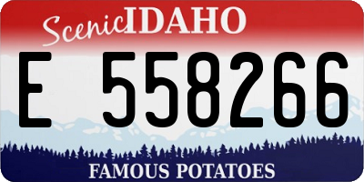 ID license plate E558266