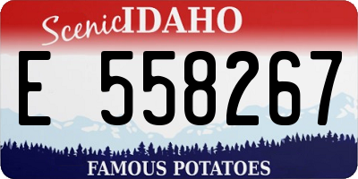 ID license plate E558267