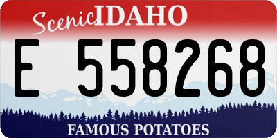 ID license plate E558268